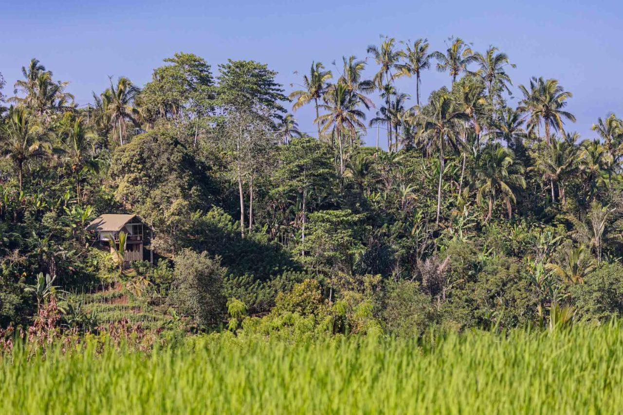 Sanda Plantation Hideaway Exterior photo